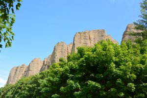 DSC_1643
