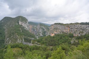 DSC_1770