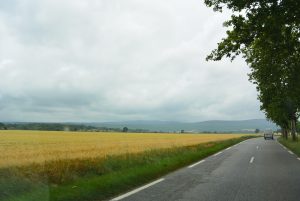 DSC_1801